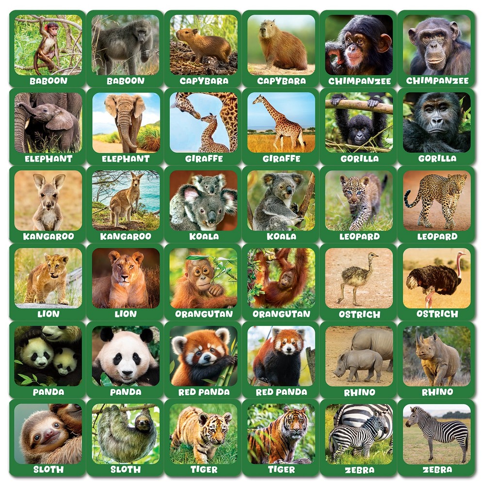 MasterPieces - Jr. Zookeeper Matching Game