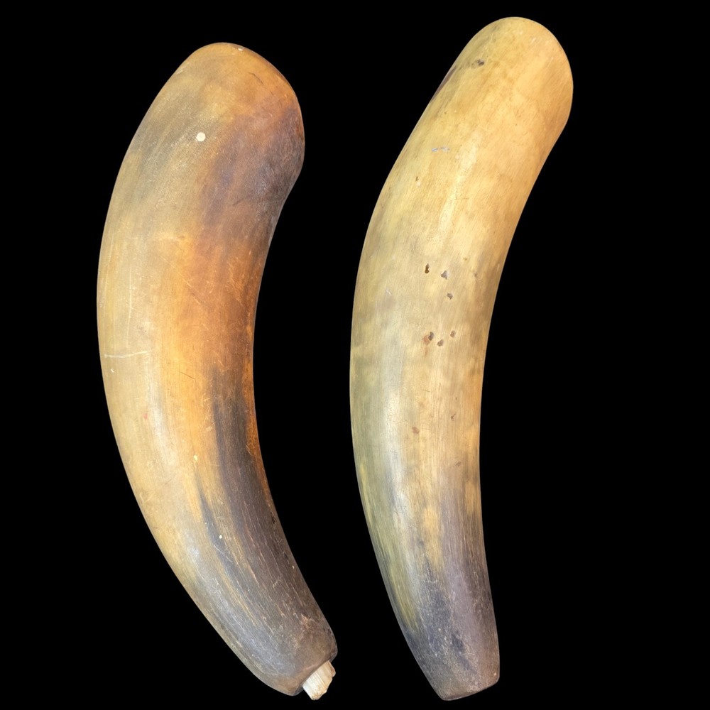 Antique Powder Horns