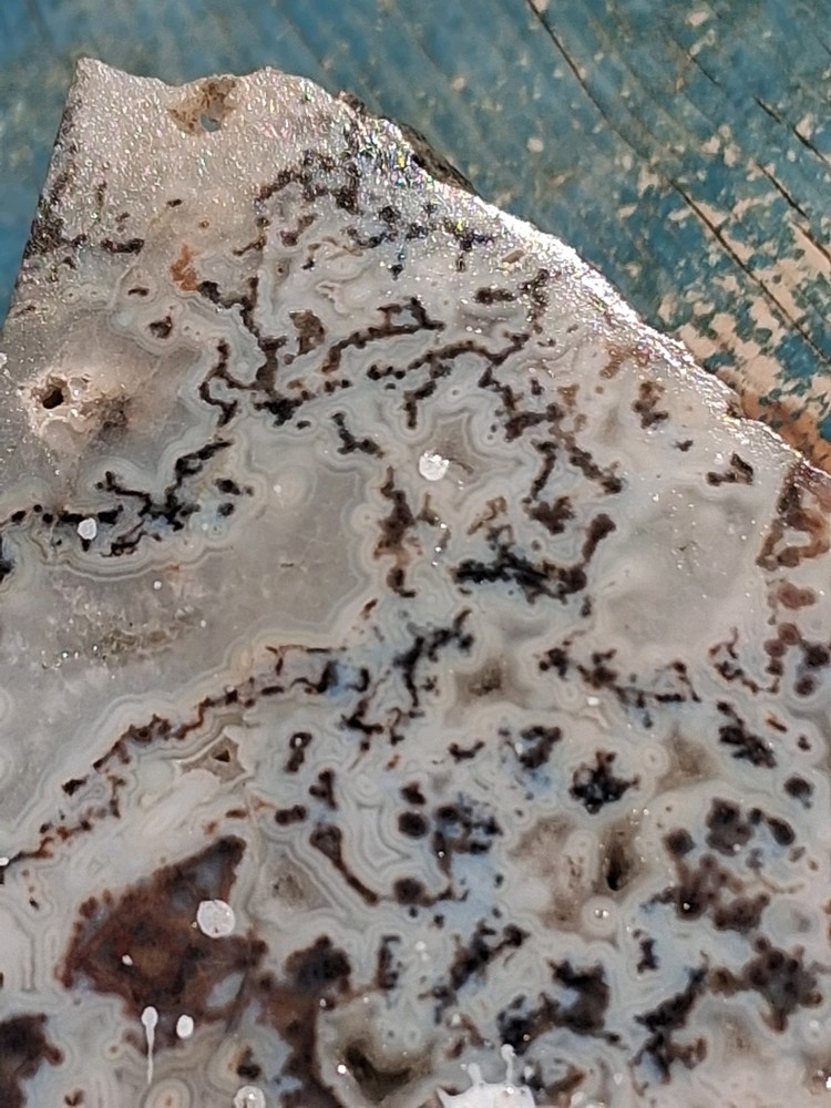 Lace Agate Slab Crystalline Fortifications Ready For Lapidary