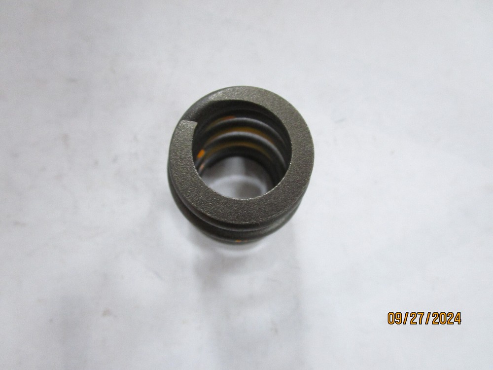 Engine Valve Spring SBI 160-1443