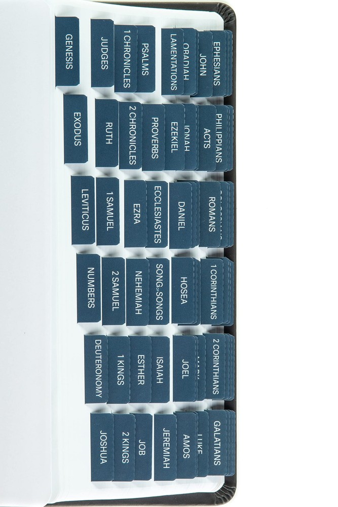 Laminated Bible Tabs - Easy Apply Large Print Index Tabs for Study  Journaling