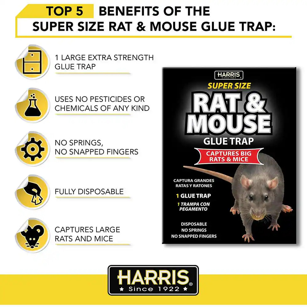 Rat and Mouse Glue Trap Super-Size (5-Pack)