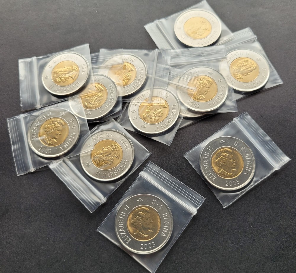 ***  CANADA   TOONIE   2003   NEW  EFFIGY  ***  FROM  MINT  ROLL  ***