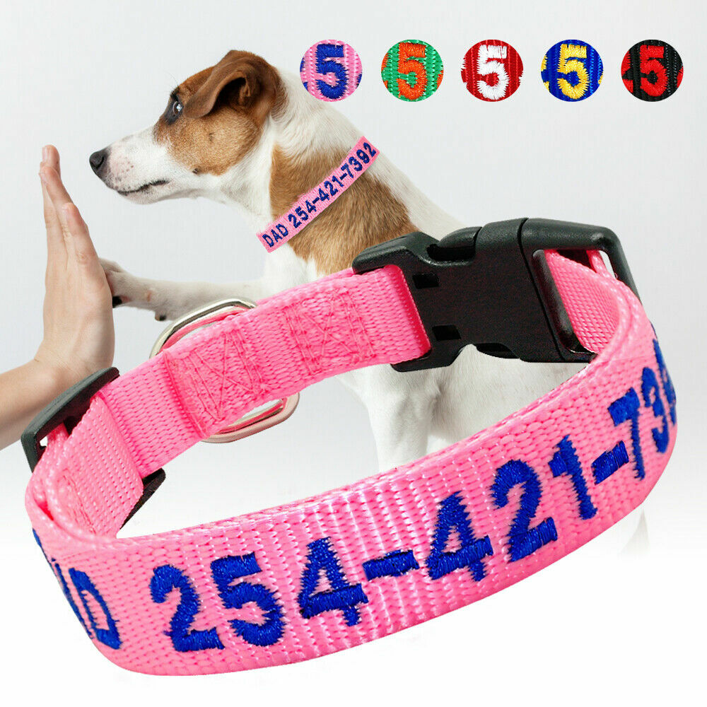 Durable Personalized Custom Embroidered Nylon Dog Collar Adjustable Name number