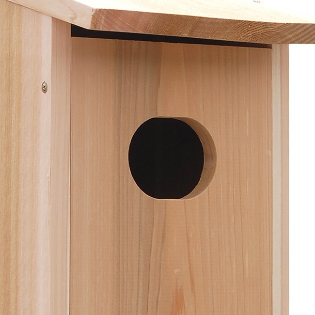 Audubon Wood Duck House