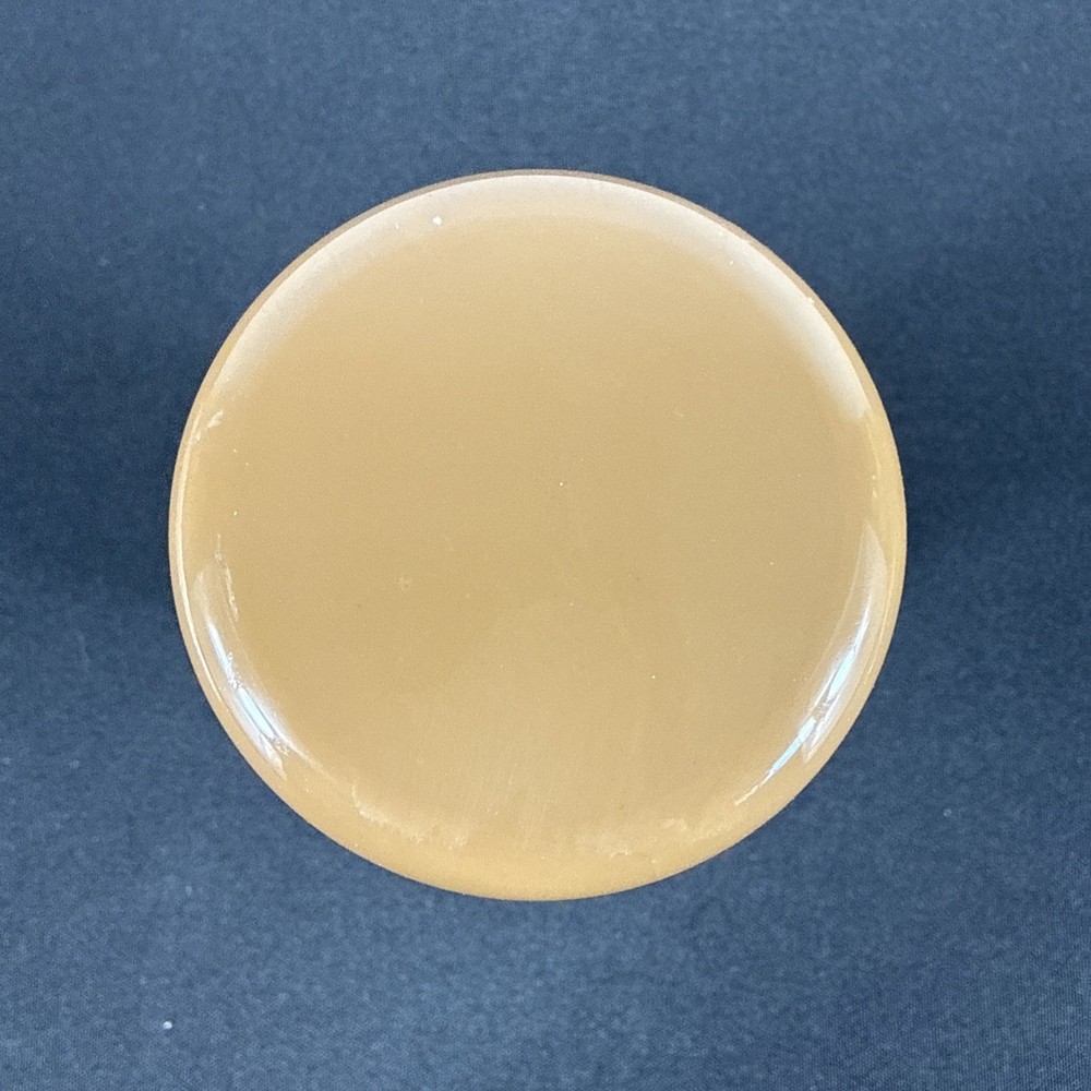 Champion Juicer Plunger Pusher Brown Plastic Replacement Part