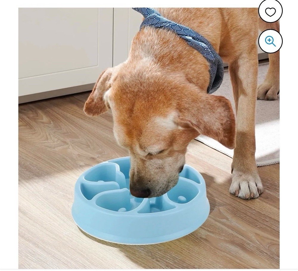 Pet Slow Down Feeding Dish, 8" Pink