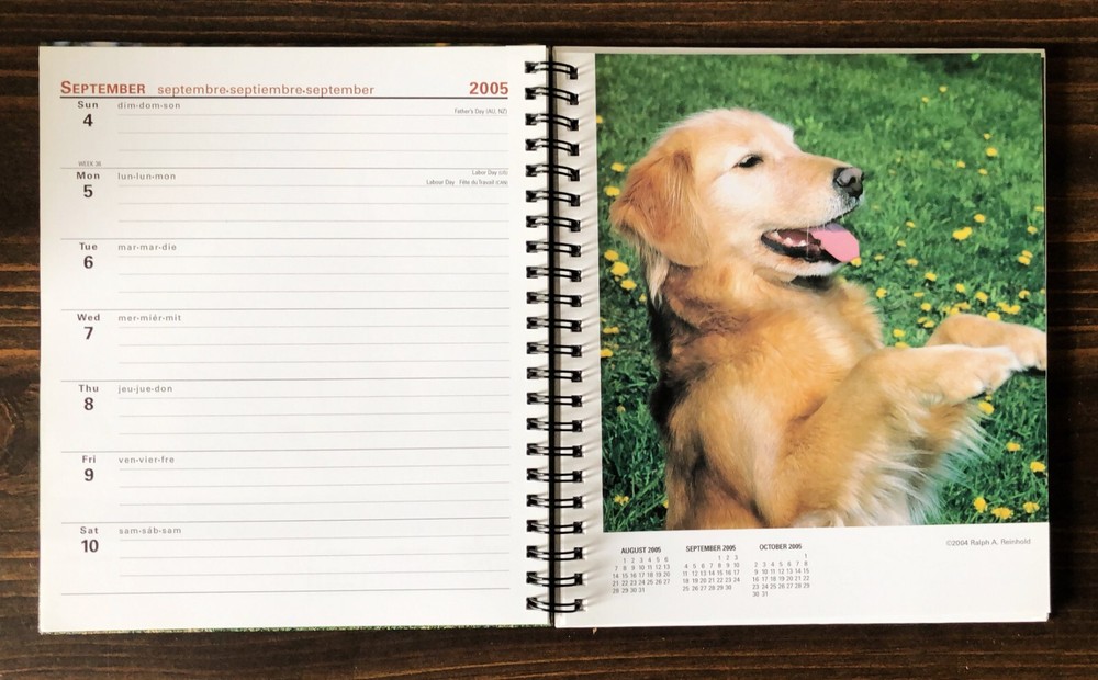 2005 Golden Retrievers Weekly Engagement Calendar