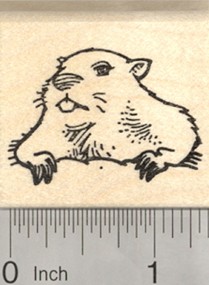 Groundhog Day Rubber Stamp, Marmot Emerging From Burrow D26607 WM