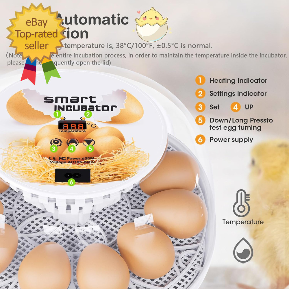 New the Incubators for Hatching Eggs 12 Egg Incubator with Automatic Turning