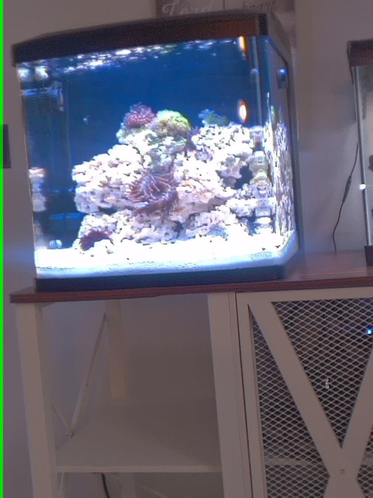 POND MASTER TEST KIT Pond Water Test Kit 500-Test