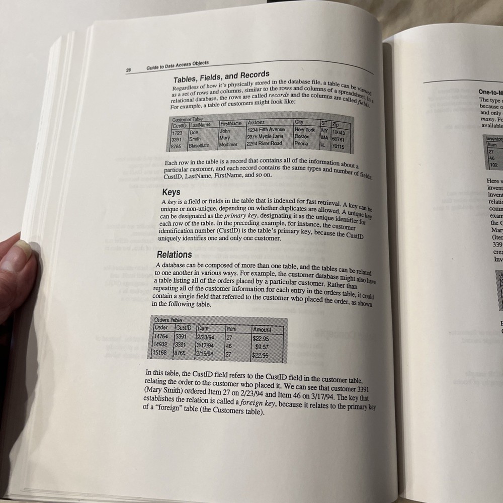 Microsoft FoxPro Version 3.0 1995 VTG Computer Manual Book Guide + Visual 4.0