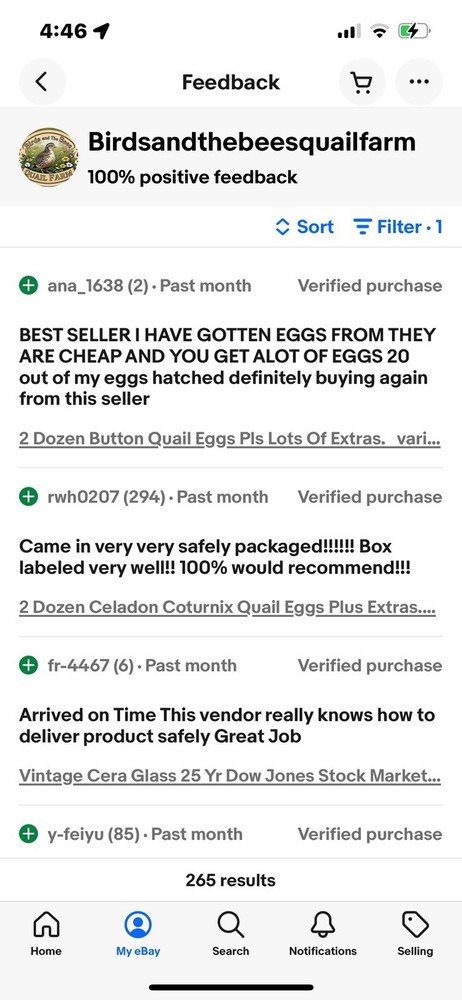 2 Dozen STANDARD Coturnix Hatching Eggs + Extra . NPIP / AI CLEAN