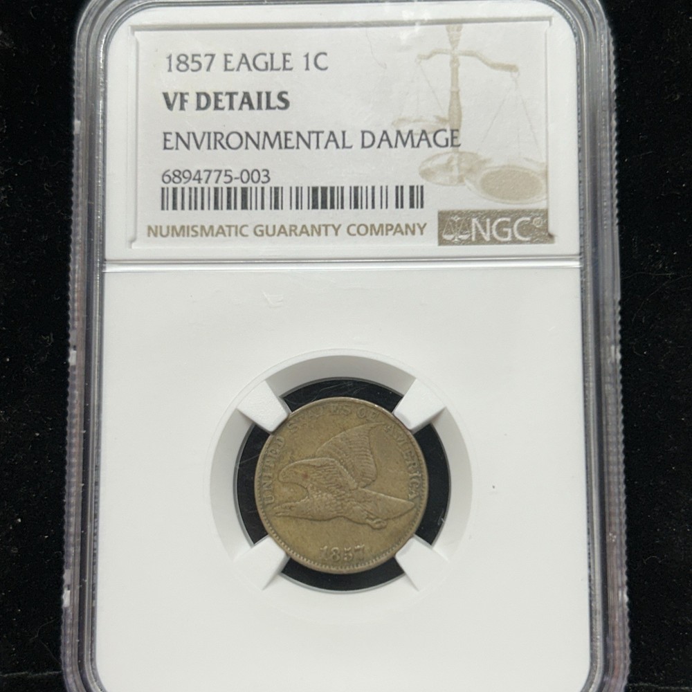 1857 Flying Eagle Cent NGC VF Details