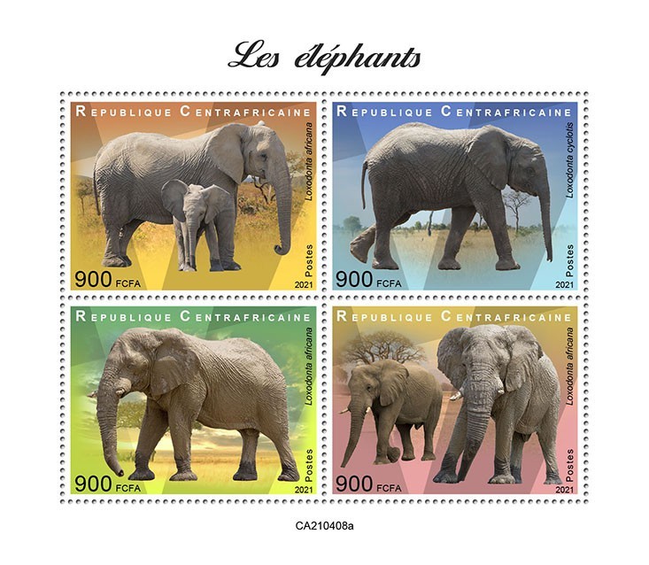 Elephants