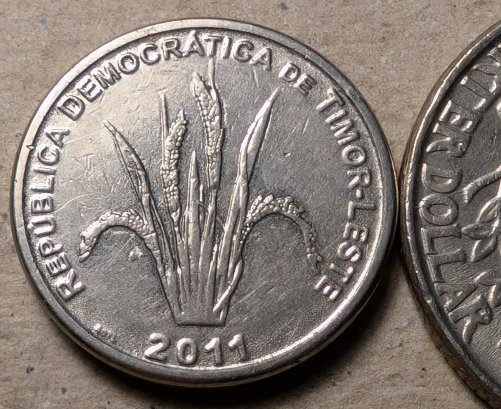East Timor 5 centavos 2011