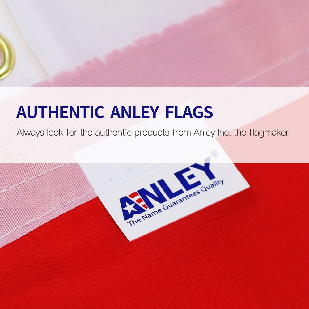 Anley Fly Breeze 3x5 Ft Brunei Flag - Bruneian Flags Polyester