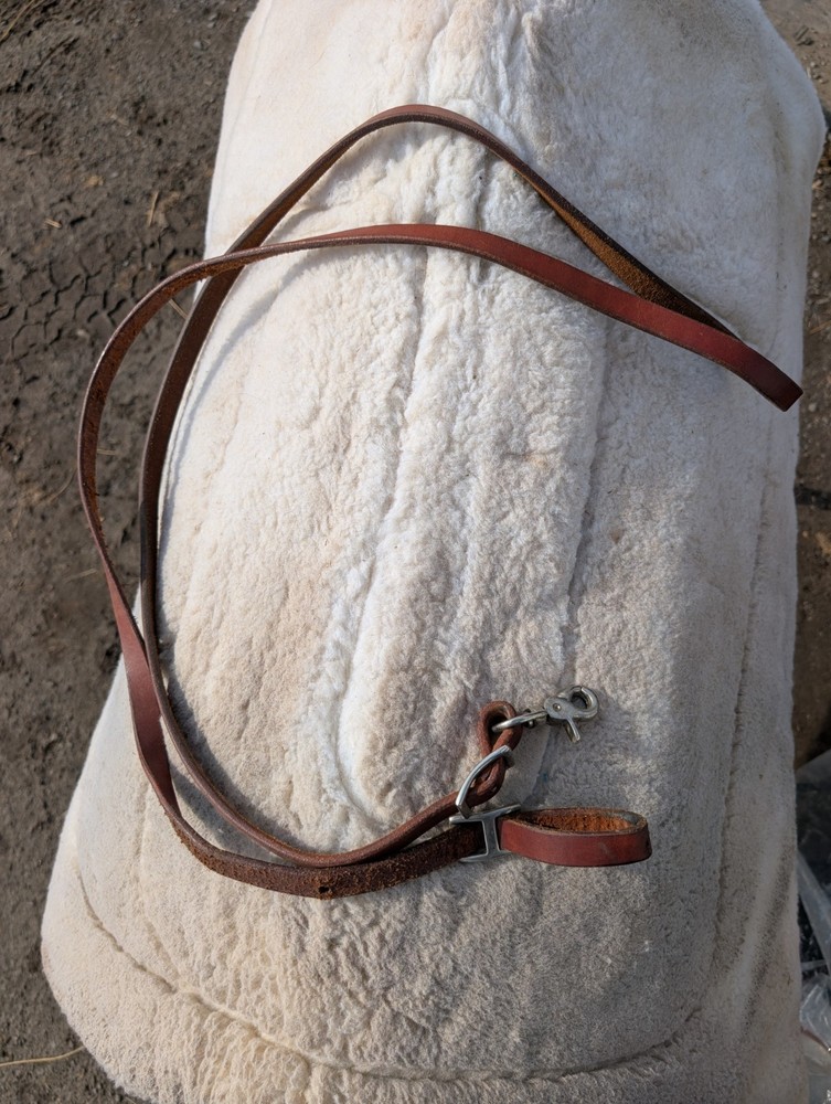 Leather barrel reins
