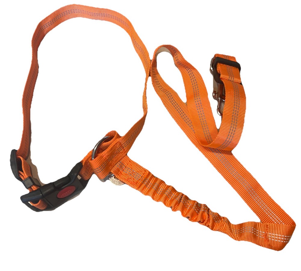 Dog Seat Belt Leash , ELASTIC Safety Adjustable Harness