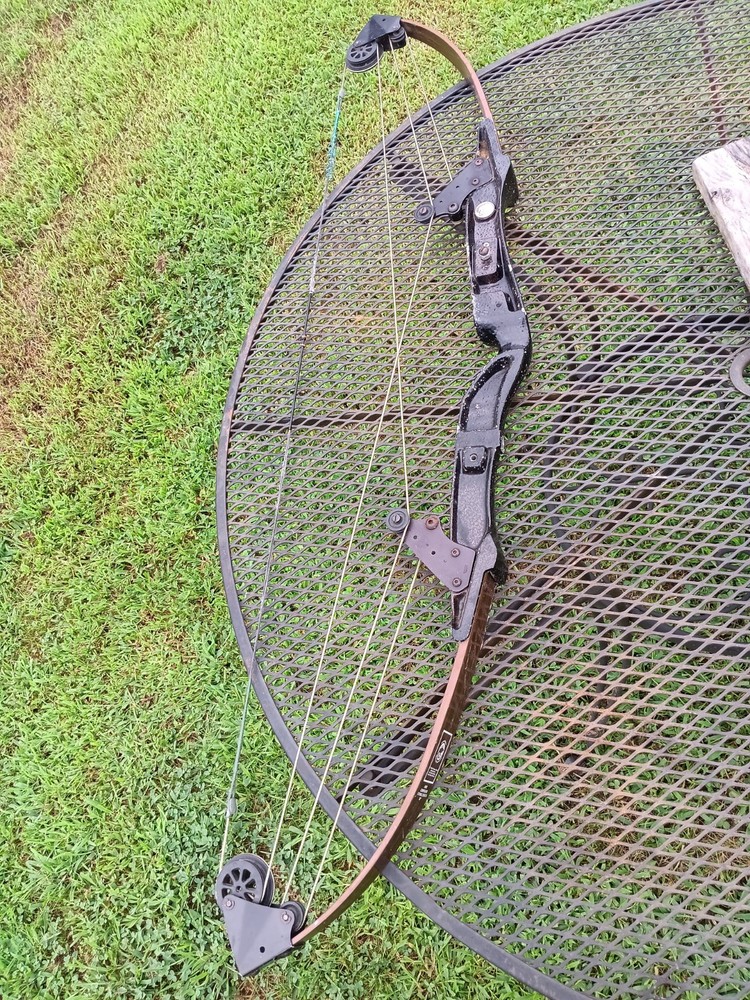 vintage bear whitetail hunter compound bow