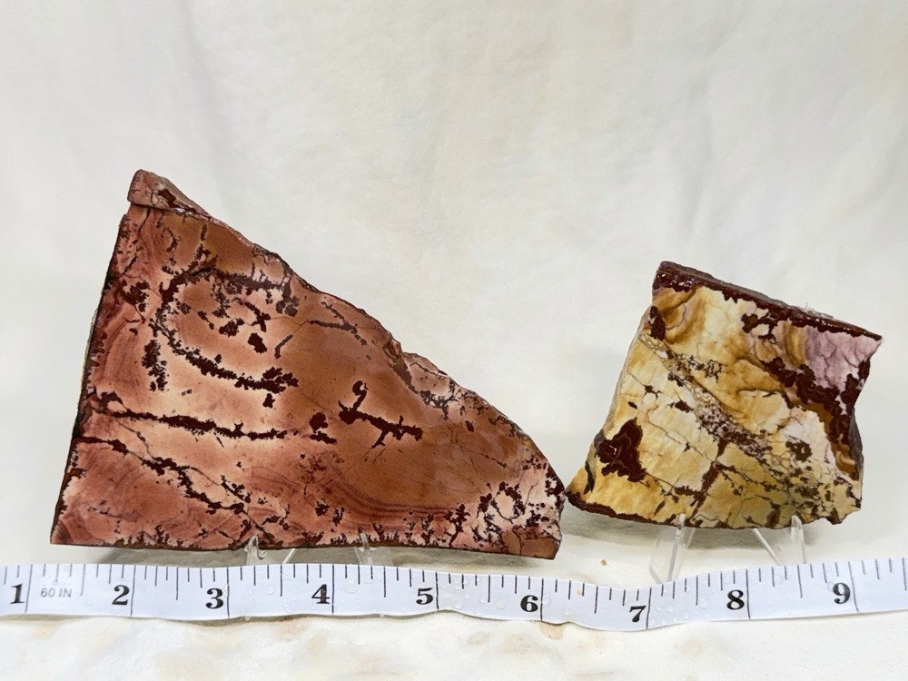 Dead Camel Jasper Slab Set, Lot #389