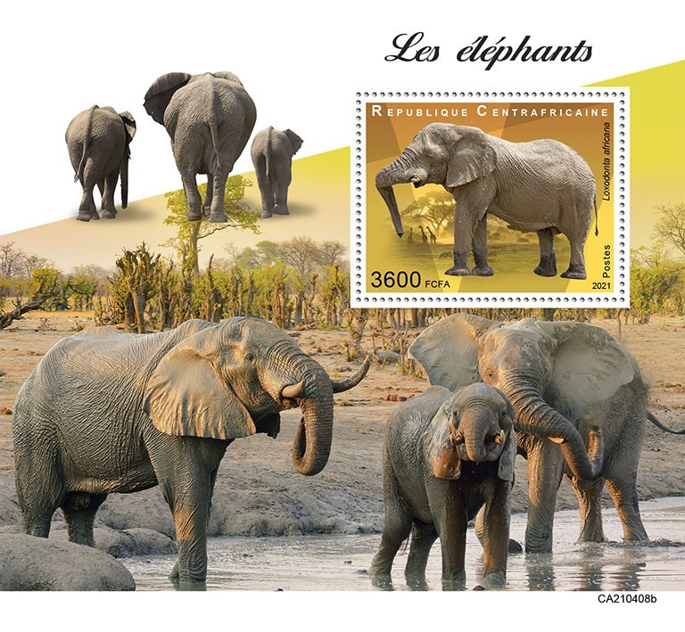 Elephants