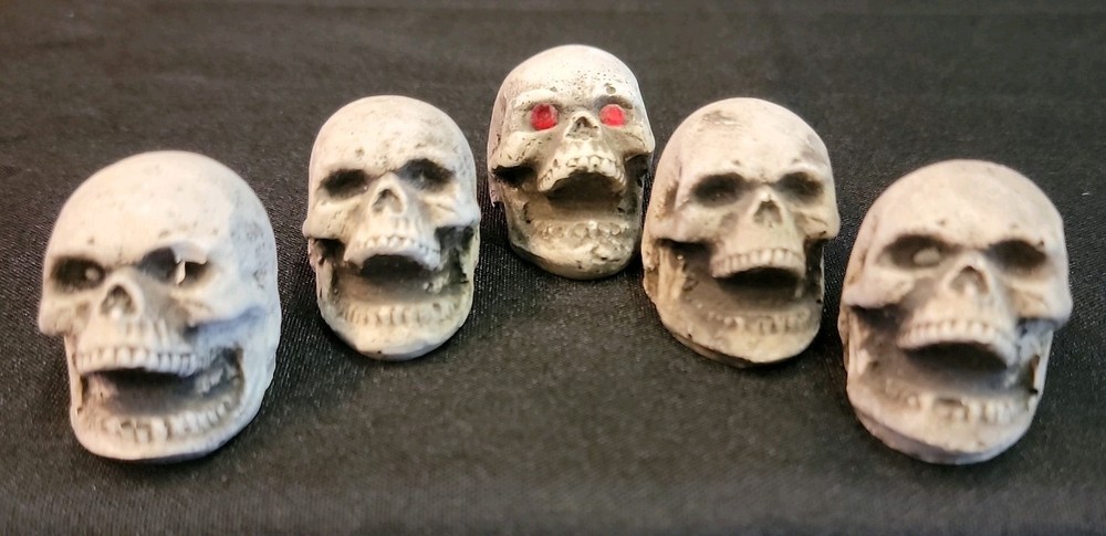 10 Piece Skull Lot