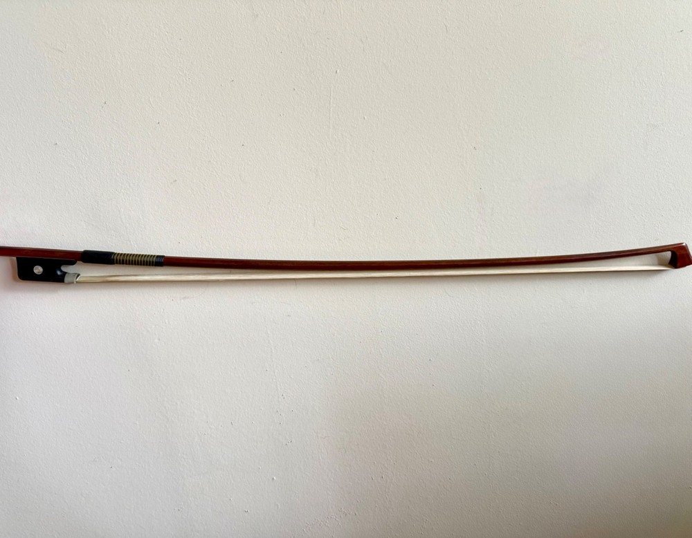 Eastman Ivan Dunov VC401 Size 4/4 Intermediate Cello BUNDLE!