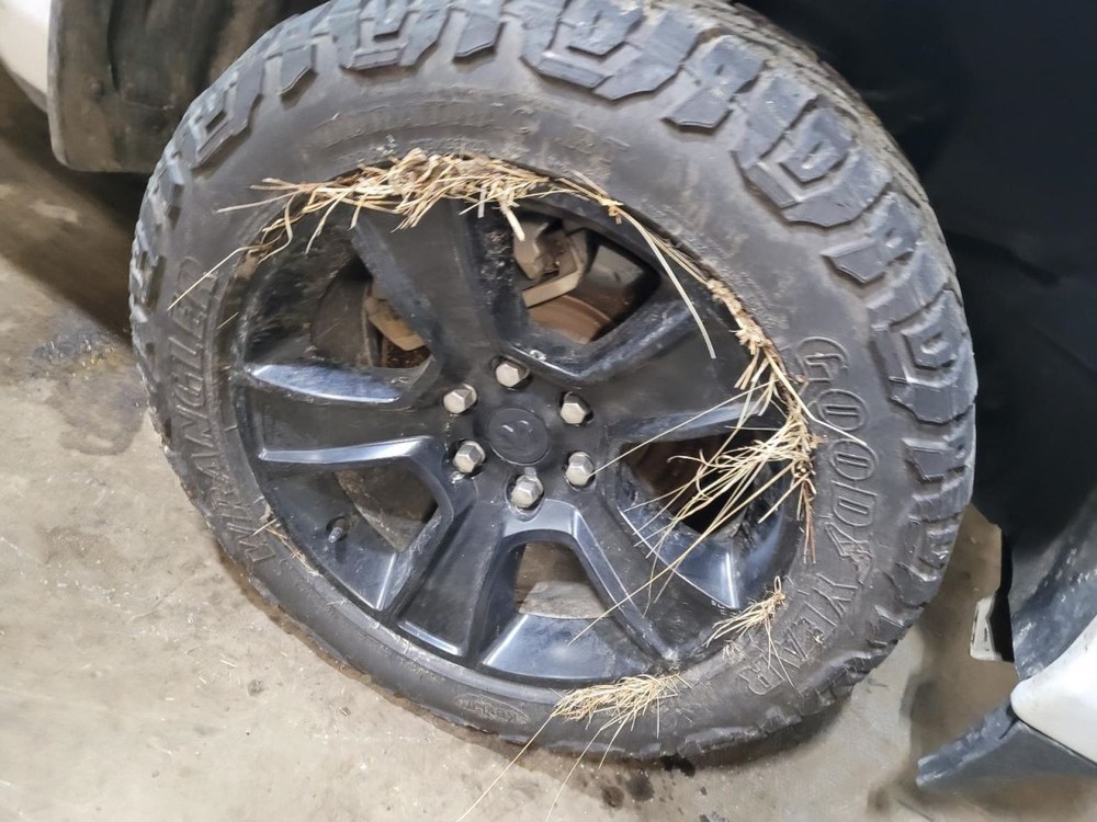 TDODR1500 2020 Air Shutter 2106647