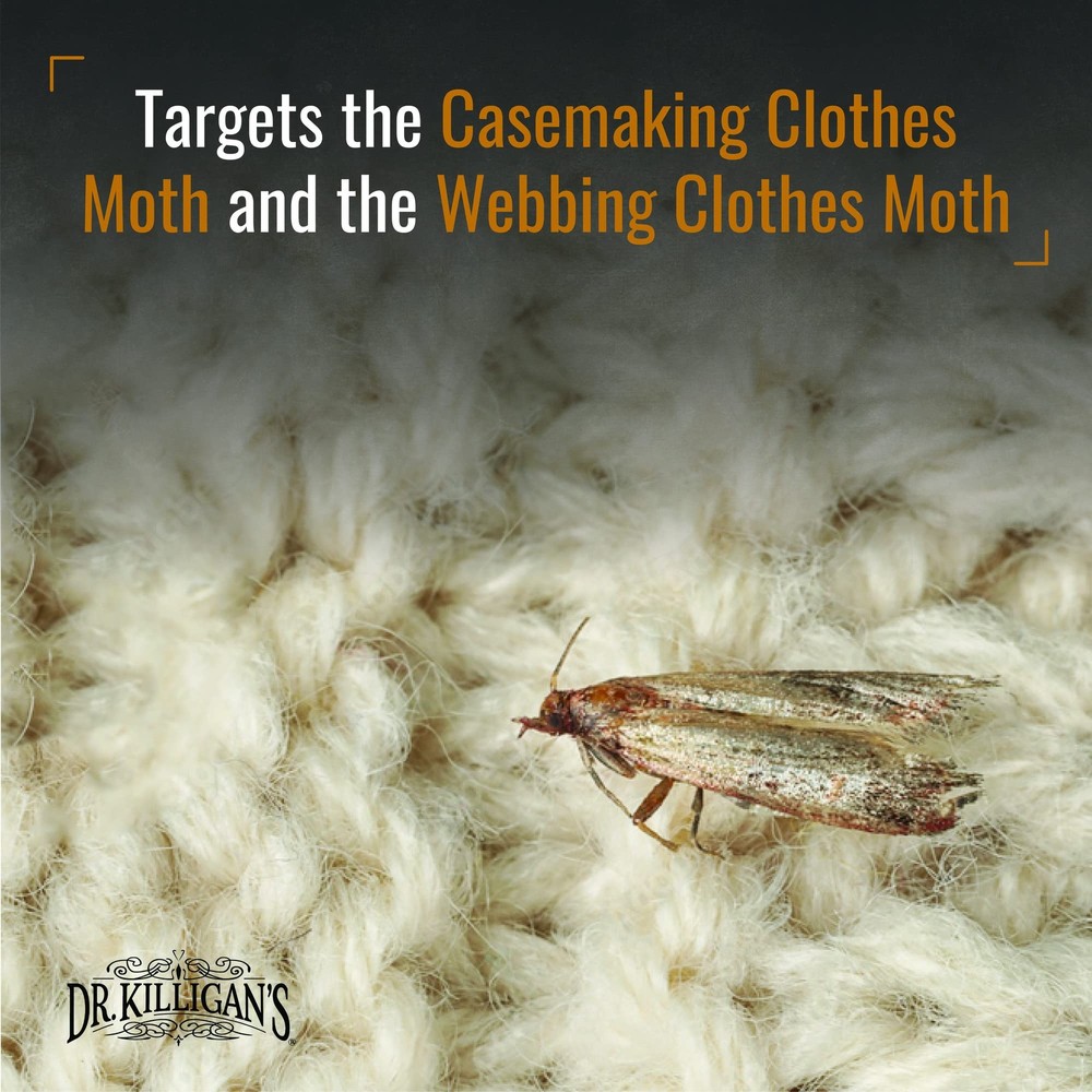 Dr. Killigans Premium Clothing Moth Traps with Pheromones Prime | 6-Pack