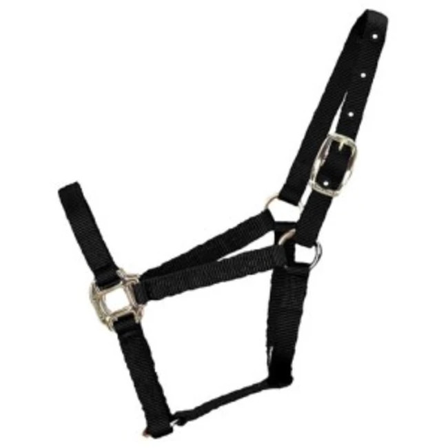 Hamilton Adjustable Foal Halter Black