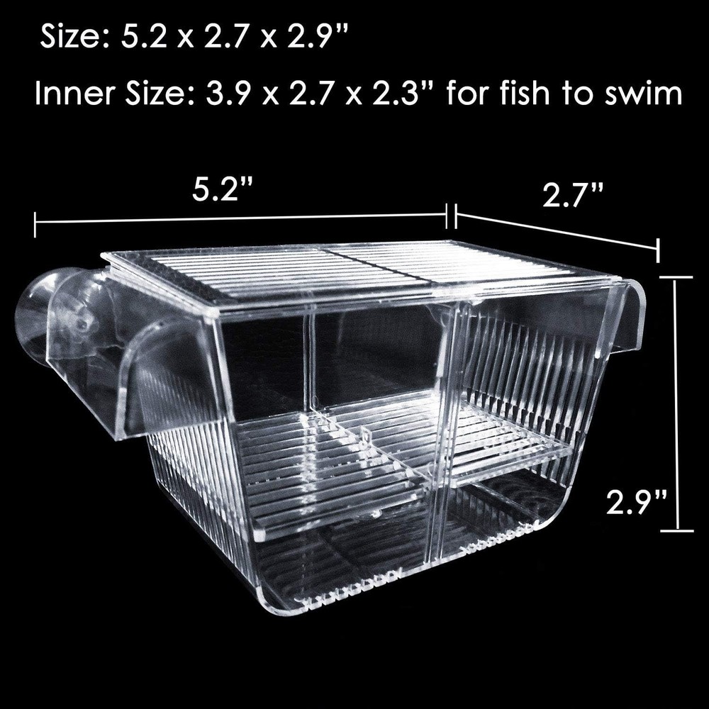 Small Acrylic Fish Breeding Box Suction Cups