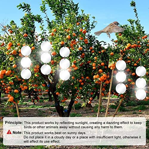 48 Pcs Highly Reflective Double Sided Bird Scare Devices Bird Scare Discs