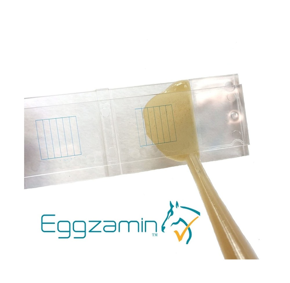 Bundle of 2 McMaster Method Microscope Slides, FEC (Fecal Egg Count) Double C...