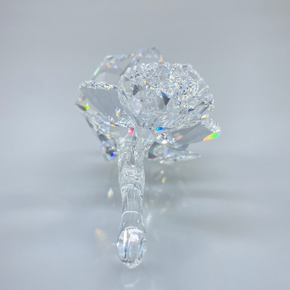 SWAROVSKI - Clear Swarovski Crystal Accessory