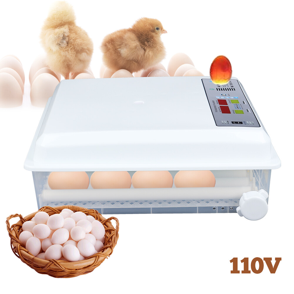 64 Digital Eggs Incubator Egg Hatcher With Temperature Control Automatic Turner