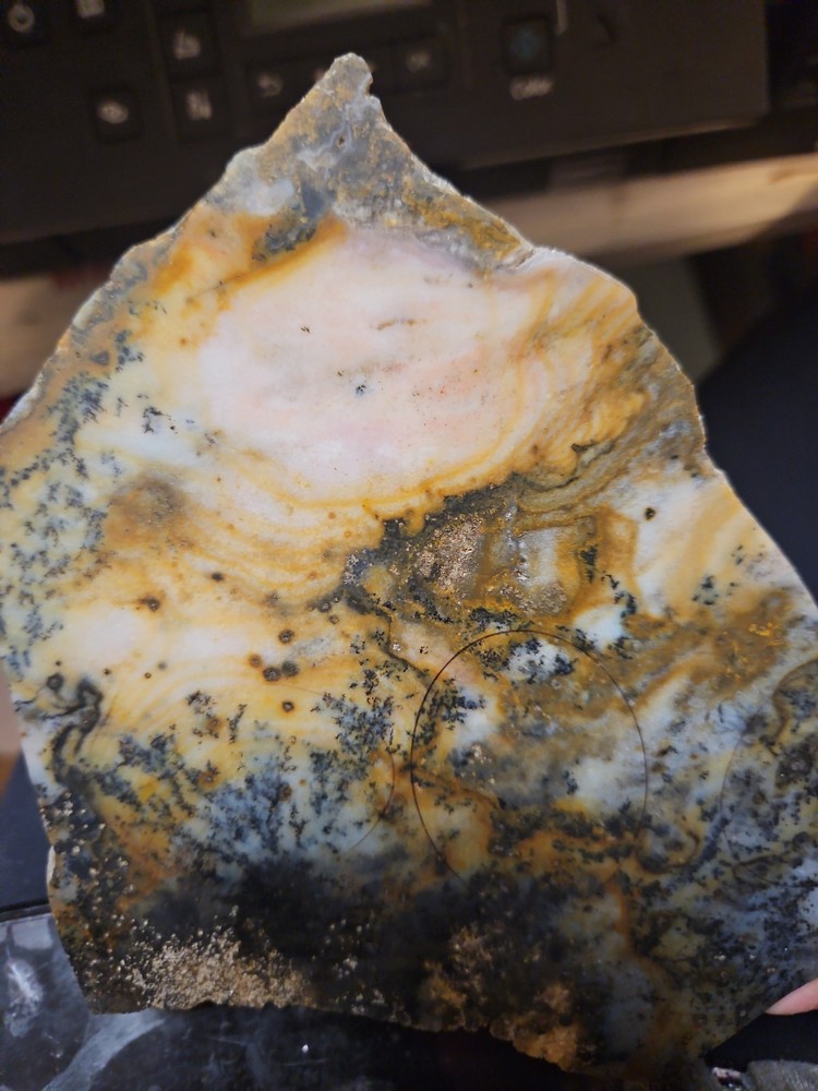 Dendric Slab Specimen (7oz)