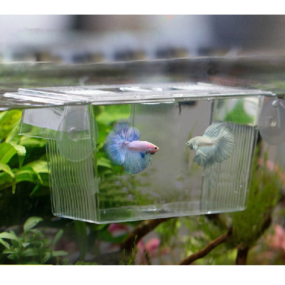 Aquarium Self-floating Fish Breeding Isolation Box Breeder Hatchery Incubator