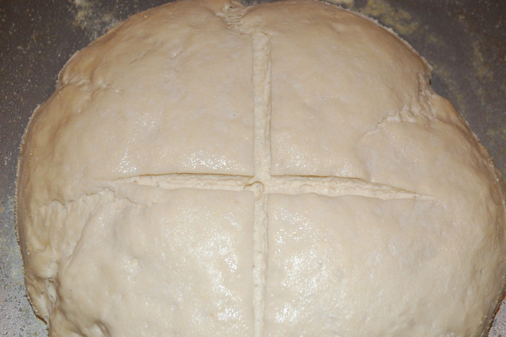 extremely sour and active sourdough starter yeast THE BEAST