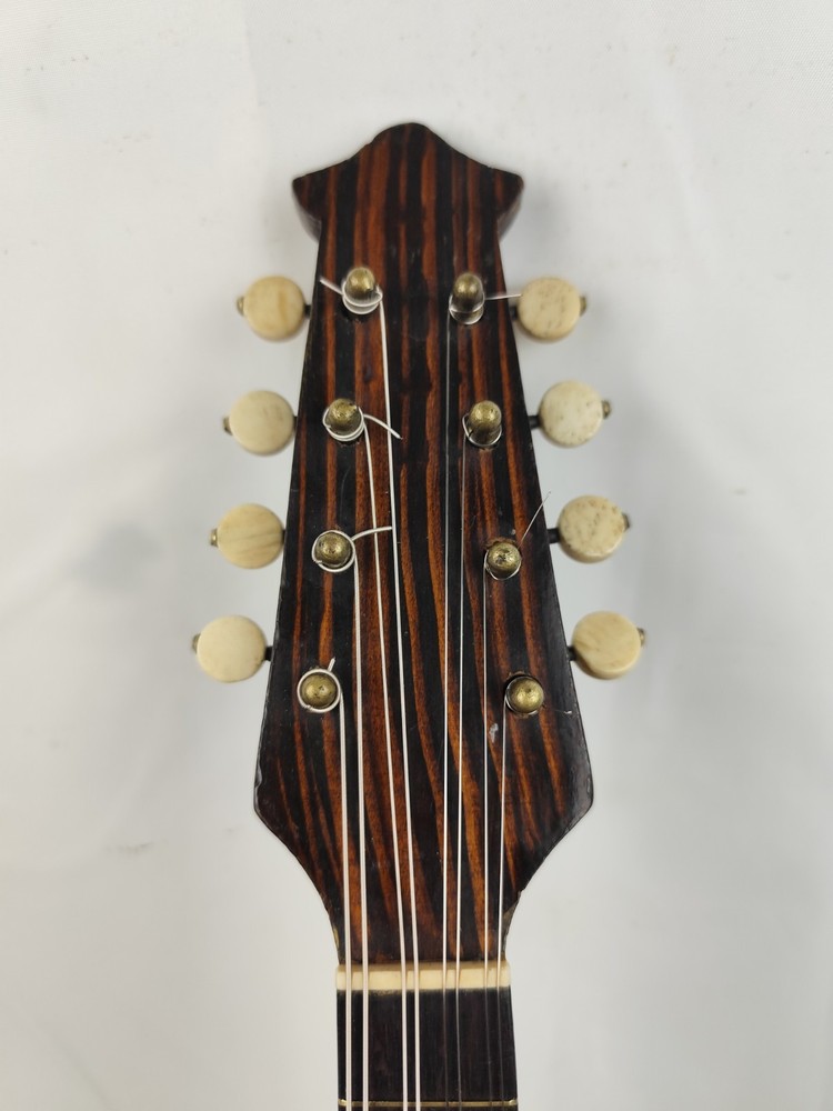 Mandolin 6 String Ridellio Naples 1945 Mandolin 曼陀林 만돌린マンドリン