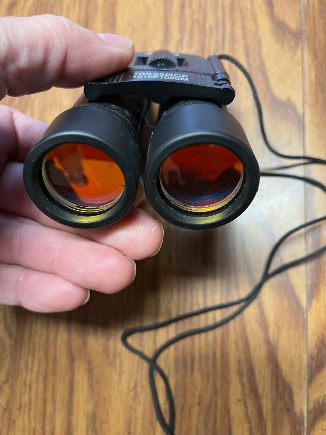 Binoculars 10x25 DCF 101M/1000M Ruby Anti Reflective Lens