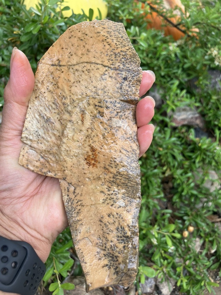 Dendritic Rhyolite Slab