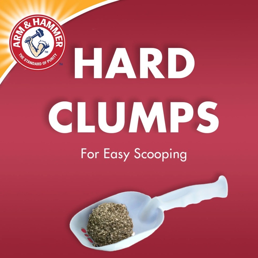 Multi-Cat Clumping Cat Litter Fresh Scent Odor Control 20 Pound Bag