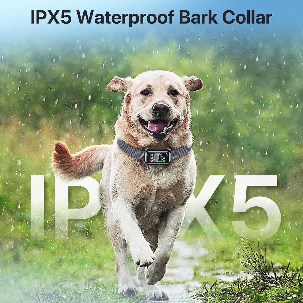 Bark Collar with Strap