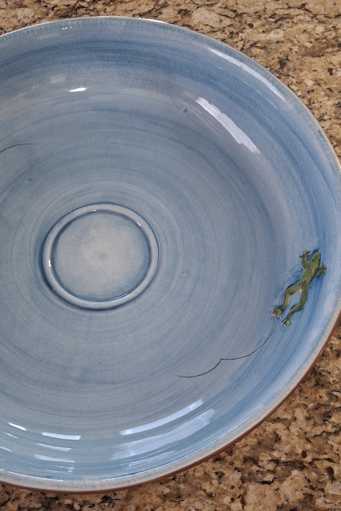 Pottery Barn Blue Hopping Frog Round Chip & Dip Serving Set