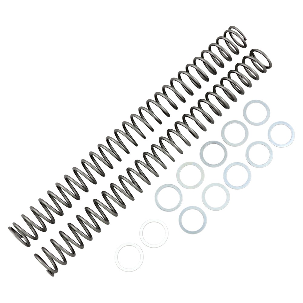 Race Tech FORK SPRING .46KG FRSP 434646
