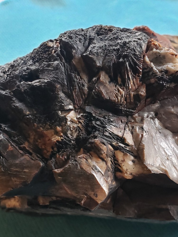 Agatized Opalized Petrified Oregon Fire-scorched Driftwood