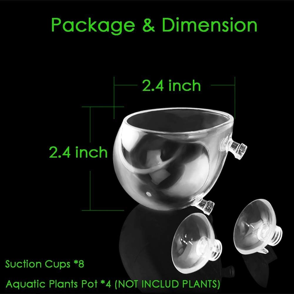 Crystal Glass Aquarium Plant Pot - 4 Pack