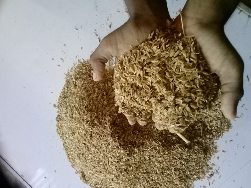 rice husks hulls organic