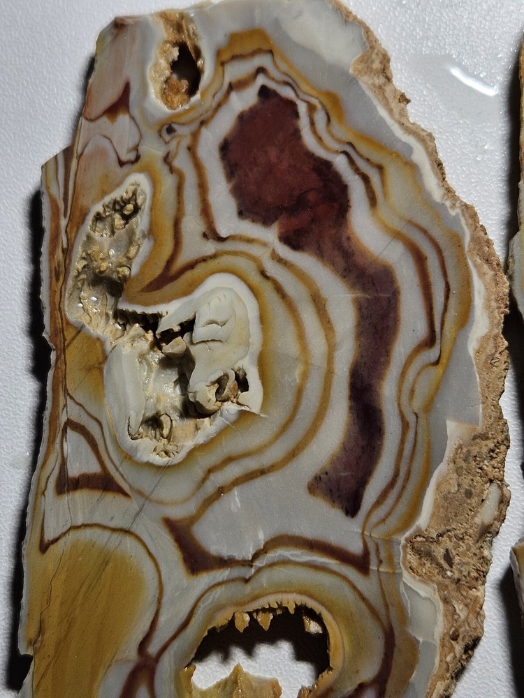 Rhyolite Two Lapidary Slabs 105 Grams